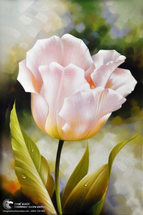 Tranh Hoa Tulip Tả Thực Ấn Tượng