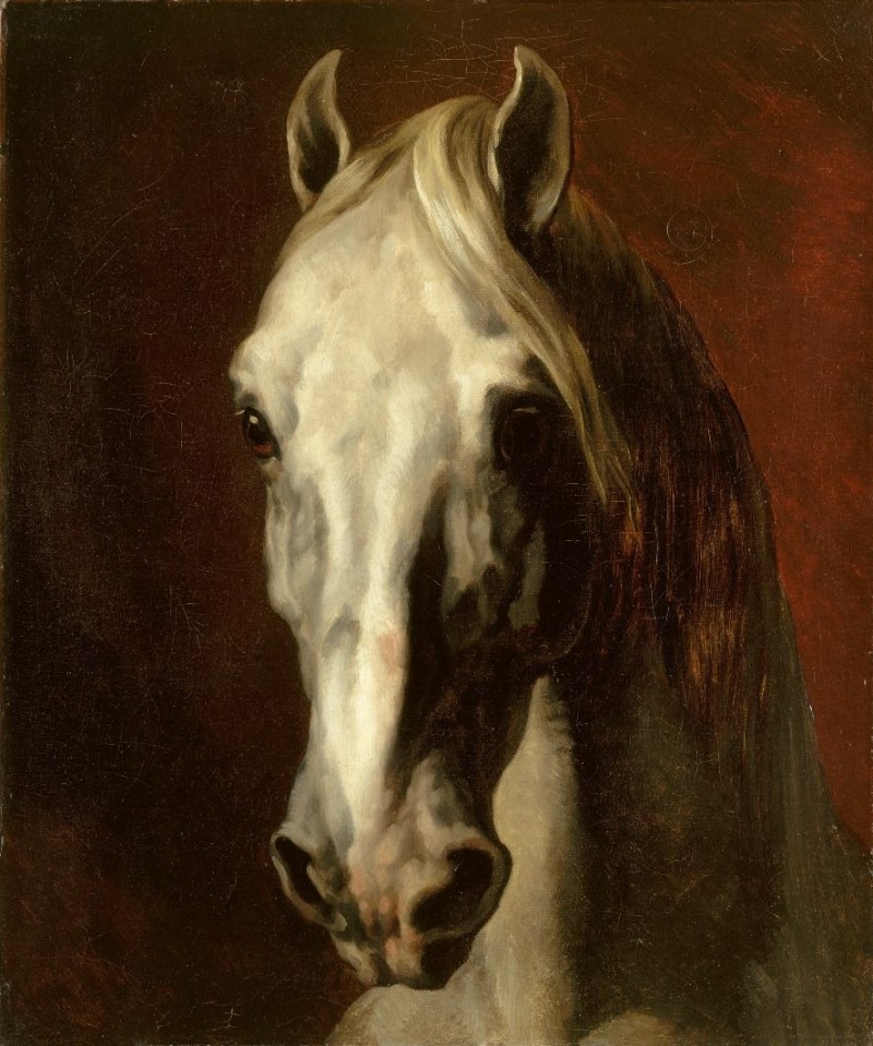 Bức tranh Horse Head.jpg