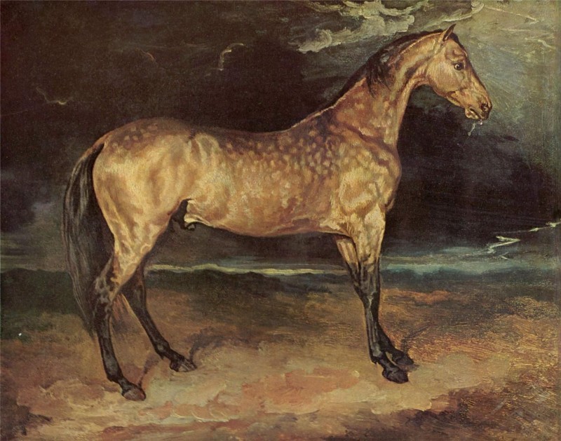 Bức tranh Horse in the Storm.jpg