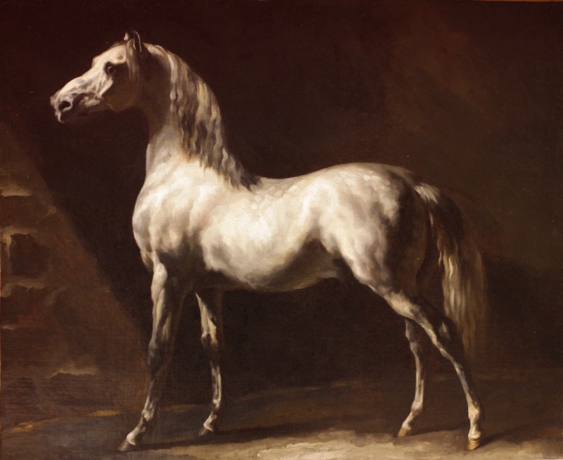 Bức tranh White Arabian Horse.jpg