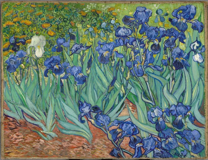 Hoa-diên-vĩ-–-Vincent-Van-Gogh-(1989).jpg