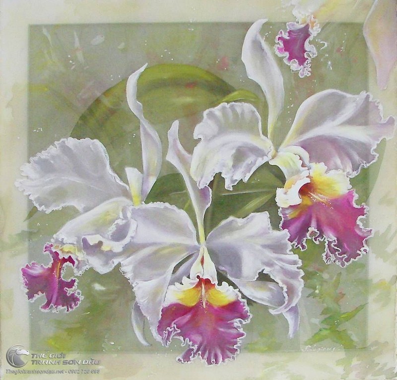 tranh-hoa-lan-mau-trang-dua-no-4.jpg