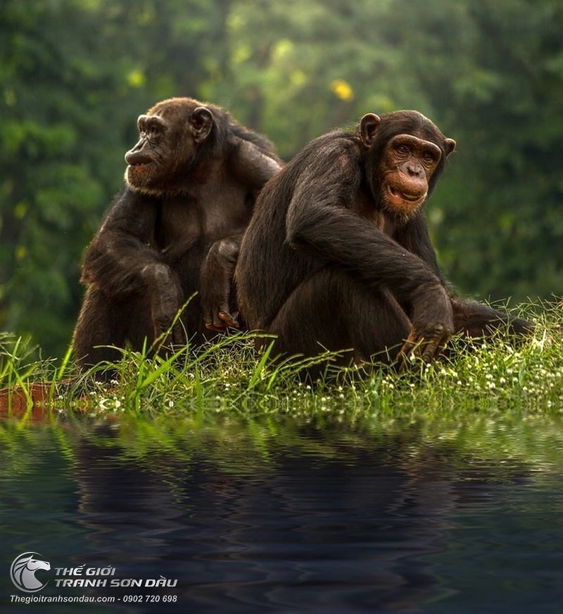 Tranh Vẽ Hai Chú Khỉ Ngồi Trên Sông.jpg