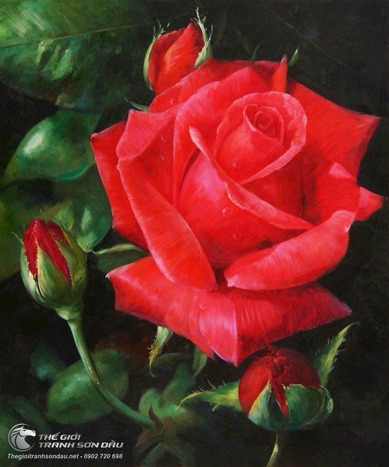 Những đóa hoa hồng đỏ rực rỡ trên bức tranh sẽ đưa bạn vào thế giới của những tình cảm mãnh liệt và sự nồng nàn. Hãy đắm chìm và chiêm ngưỡng vẻ đẹp của hoa hồng trên bức tranh này.