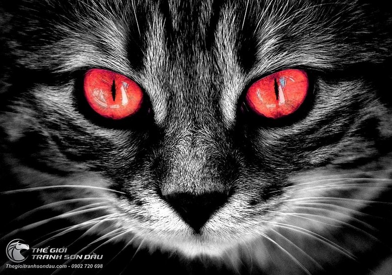 Tranh Mèo Xám Đôi Mắt Đỏ Đặc Biệt Ưu Đãi Lớn Từ Xưởng Vẽ