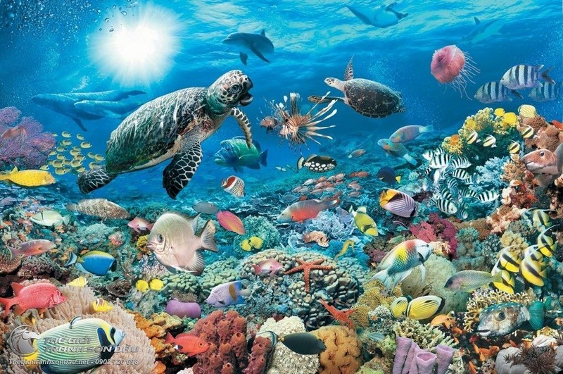 Tranh phong cảnh đại dương: Hãy khám phá sắc màu kỳ diệu của đại dương thông qua bức tranh phong cảnh rực rỡ này! Hình ảnh bao quanh các loài sinh vật biển đa dạng và những ngọn sóng vỗ về bờ sẽ mang đến cho bạn cảm giác như đang đắm mình dưới lòng đại dương. Xem ngay để trải nghiệm sự tuyệt vời của nghệ thuật và thiên nhiên.