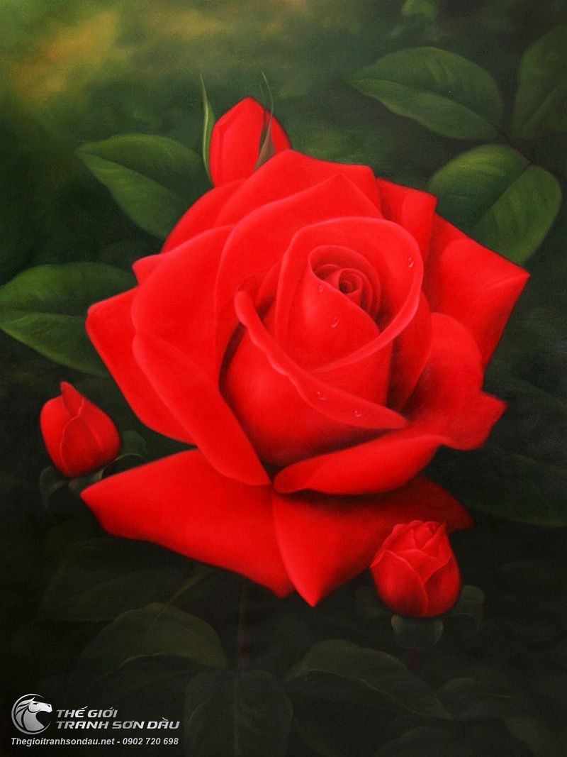 Tranh vẽ hoa hồng màu đỏ: Đỏ là màu của đam mê và tình yêu, và khi được sử dụng trên bức tranh về các bông hoa hồng, nó thực sự tuyệt vời. Hãy thưởng thức những nét đẹp của tranh vẽ hoa hồng màu đỏ và những cảm xúc mà nó mang lại cho bạn.