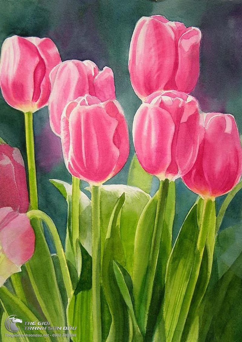 Vẽ hoa Tulip Uất kim hương thật đơn giản