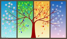 Bức Tranh Bốn Mùa Xuân Hạ Thu Đông Đẹp