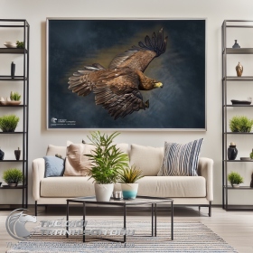 Tranh Đại Bàng Tung Bay