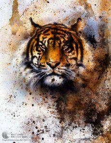 Tranh Hổ Trang Trí Phòng Khách