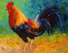 Tranh Sơn Dầu Gà Trống Vẽ Bay Đẹp