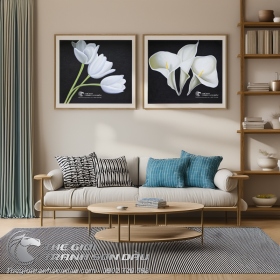 Tranh Sơn Dầu Hiện Đại Hoa Trắng Bộ 2 Tấm