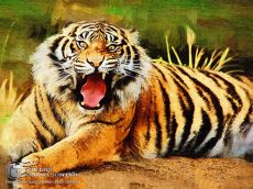 Tranh Sơn Dầu Hổ Oai Hùng