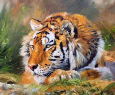 Tranh Sơn Dầu Hổ Tả Thực Đẹp