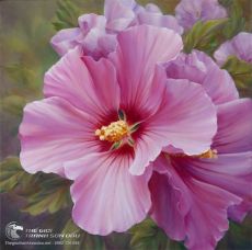 Tranh Sơn Dầu Hoa Dâm Bụt Màu Hồng