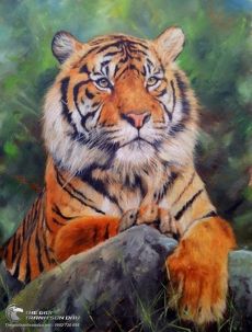 Tranh Sơn Dầu Vẽ Chú Hổ