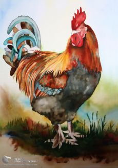 Tranh Sơn Dầu Vẽ Gà Trống