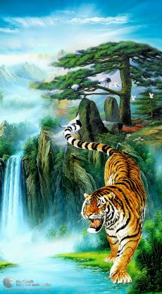 Tranh Sơn Dầu Vẽ Hổ Treo Phòng Khách Đẹp