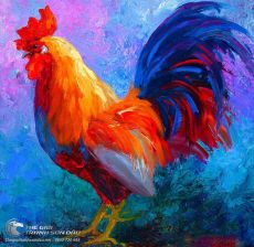 Tranh Vẽ Bay Sơn Dầu Gà Trống