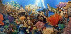 Tranh Vẽ Cảnh Đại Dương Và Rặng San Hô
