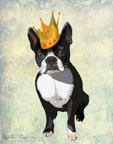Tranh Vẽ Chú Chó Đội Vương Miện