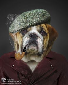 Tranh Vẽ Chú Chó Ngậm Tẩu Thuốc