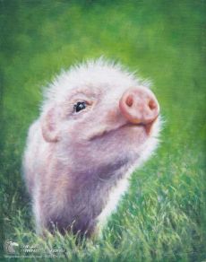 Tranh Vẽ Chú Heo Con