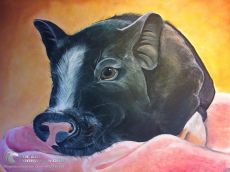 Tranh Vẽ Chú Heo Mọi Đen