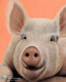 Tranh Vẽ Chú Heo Ngộ Nghĩnh