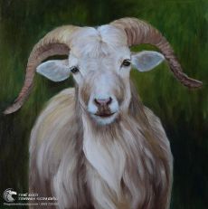 Tranh Vẽ Con Dê Trắng Có Sừng Dài