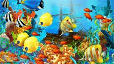 Tranh Vẽ Đại Dương Với Chú Cá Vàng