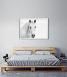 Tranh Vẽ Đầu Ngựa Trắng Treo Phòng Ngủ