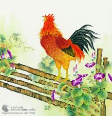 Tranh Vẽ Gà Trống Đang Gáy