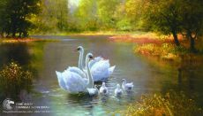 Tranh Vẽ Gia Đình Thiên Nga Tuyệt Đẹp