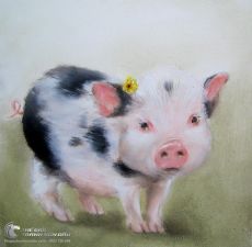 Tranh Vẽ Heo Con Cài Hoa Cúc