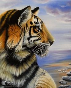 Tranh Vẽ Hổ Chúa Tể Sơn Lâm