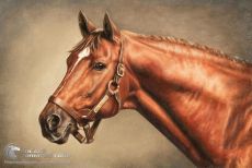 Tranh Vẽ Sơn Dầu Chú Ngựa Nâu Với Đôi Mắt Buồn