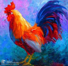 Tranh Vẽ Sơn Dầu Con Gà Trống Màu Đẹp