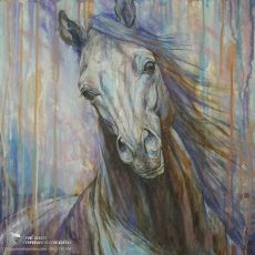 Tranh Vẽ Sơn Dầu Đôi Mắt Của Chú Ngựa