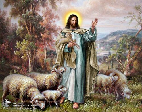 Tranh Chúa Jesu Chăn Đàn Chiên