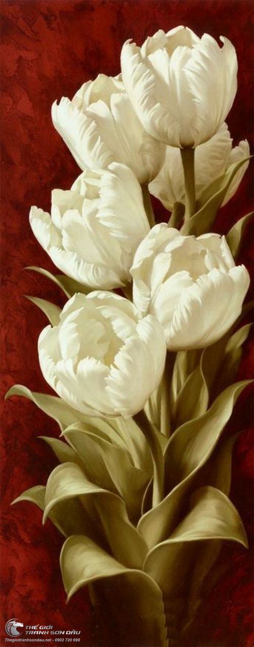 Tranh Hoa Tulip Màu Trắng