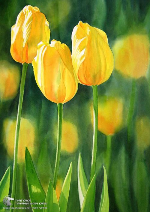 Tranh Hoa Tulip Màu Vàng Đẹp