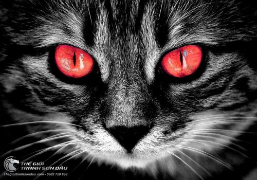 Tranh Mèo Xám Đôi Mắt Đỏ Đặc Biệt