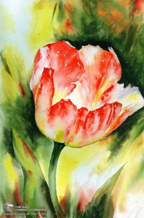 Tranh Hoa Tulip Tả Thực Đẹp