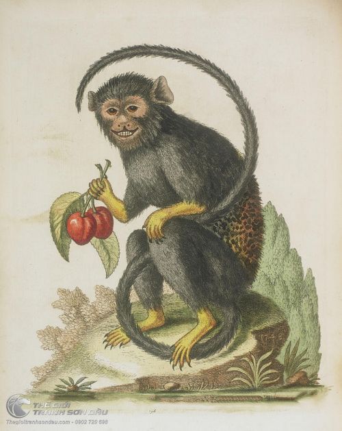 Tranh Vẽ Con Khỉ Đuôi Dài Cầm Trái Cây