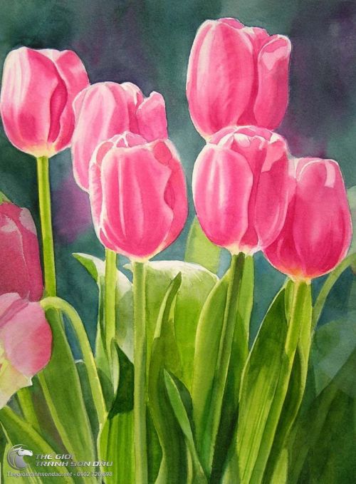 Tranh Vẽ Vườn Hoa Tulip Màu Hồng Đẹp