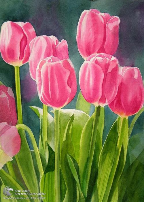 Tranh Vẽ Vườn Hoa Tulip Màu Hồng